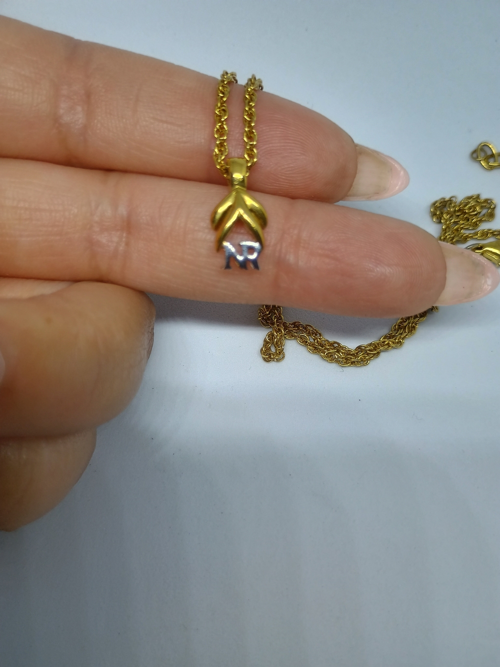 Nina Ricci Pendent W Unbranded Chain
